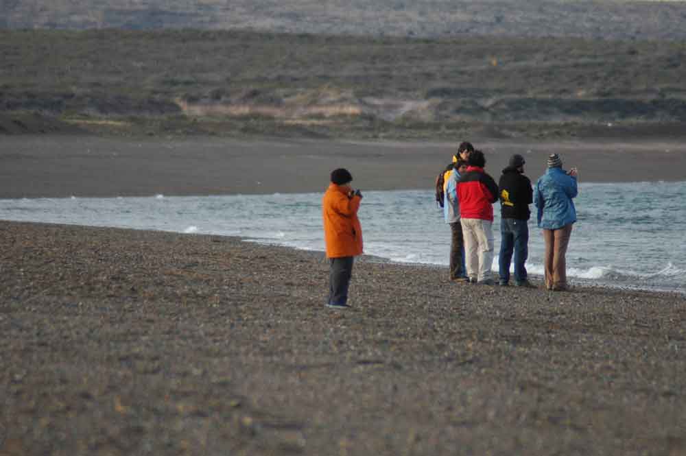 Argentina 108 - península Valdes - playa de las canteras.jpg